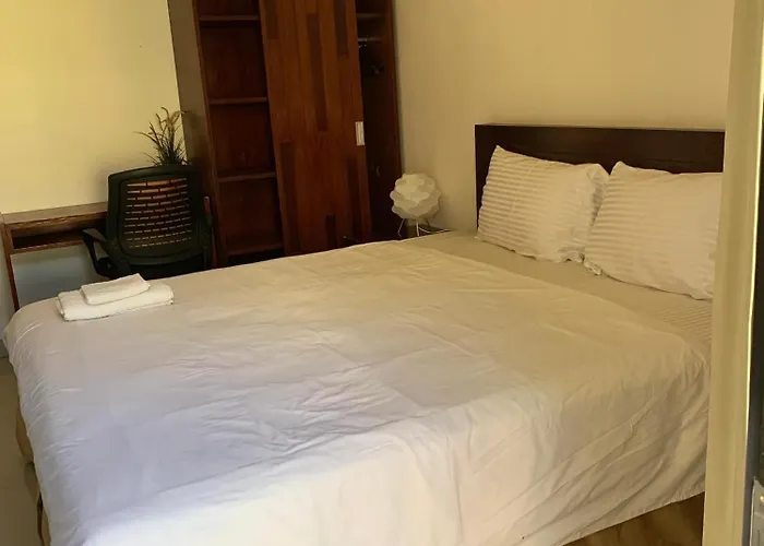 Cozy Palm